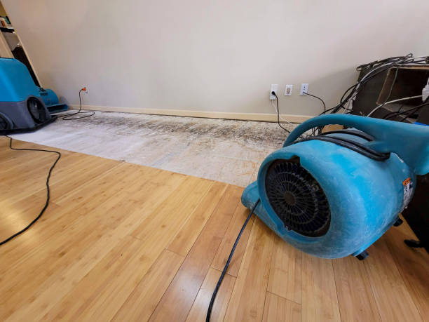 Professional Water Damage Repair technician working in Carmichael, CA